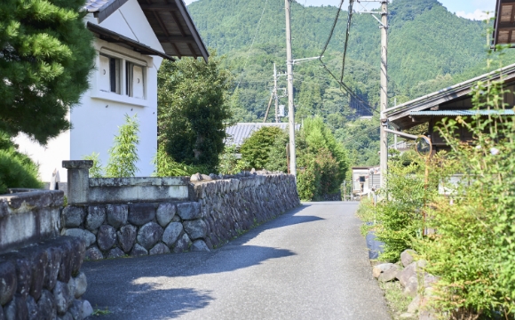 青梅市の自然豊かな里山
